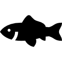 Goldfish icon